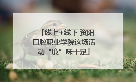 线上+线下 资阳口腔职业学院这场活动“廉”味十足