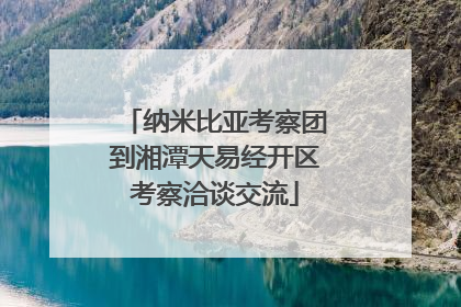 纳米比亚考察团到湘潭天易经开区考察洽谈交流