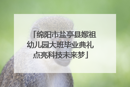 绵阳市盐亭县嫘祖幼儿园大班毕业典礼点亮科技未来梦
