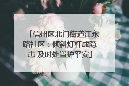 信州区北门街道江永路社区：倾斜灯杆成隐患 及时处置护平安