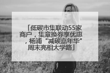 低碳市集联动55家商户，集章换券享优惠，杨浦“减碳嘉年华”周末亮相大学路