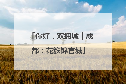 你好，双拥城｜成都：花簇锦官城