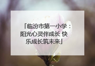 临汾市第一小学：阳光心灵伴成长 快乐成长筑未来