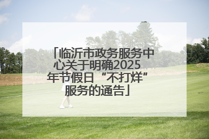 临沂市政务服务中心关于明确2025年节假日“不打烊”服务的通告