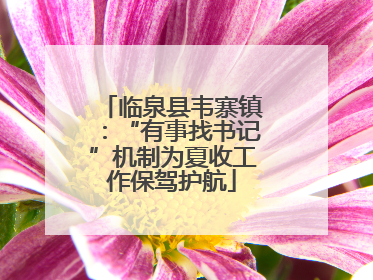 临泉县韦寨镇：“有事找书记”机制为夏收工作保驾护航