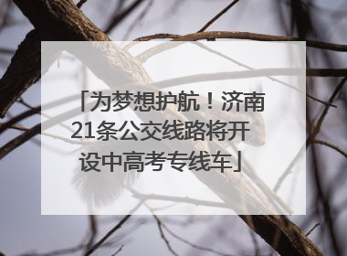 为梦想护航！济南21条公交线路将开设中高考专线车