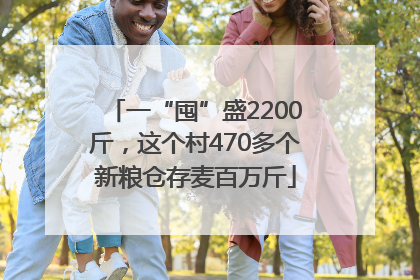 一“囤”盛2200斤，这个村470多个新粮仓存麦百万斤