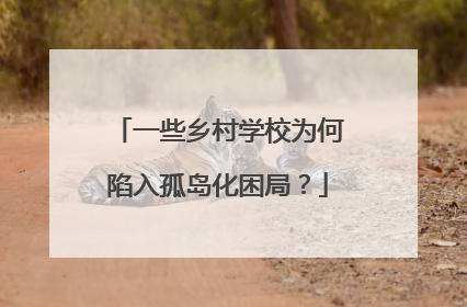 一些乡村学校为何陷入孤岛化困局？