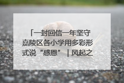 一封回信一年坚守 嘉陵区各小学用多彩形式说“感恩”｜风起之江 扶摇直上
