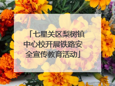 七星关区梨树镇中心校开展铁路安全宣传教育活动