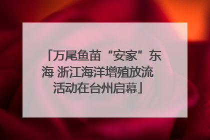 万尾鱼苗“安家”东海 浙江海洋增殖放流活动在台州启幕