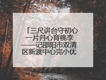 三尺讲台守初心 一片丹心育桃李——记邵阳市双清区新渡中心完小优秀教师姚丹