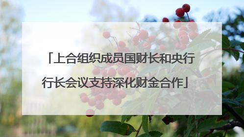 上合组织成员国财长和央行行长会议支持深化财金合作