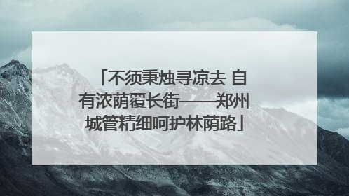 不须秉烛寻凉去 自有浓荫覆长街——郑州城管精细呵护林荫路