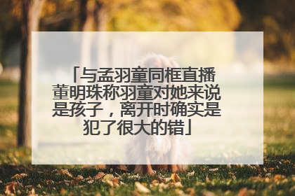 与孟羽童同框直播 董明珠称羽童对她来说是孩子，离开时确实是犯了很大的错