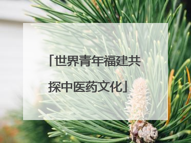 世界青年福建共探中医药文化