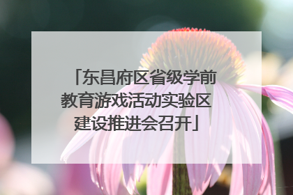 东昌府区省级学前教育游戏活动实验区建设推进会召开