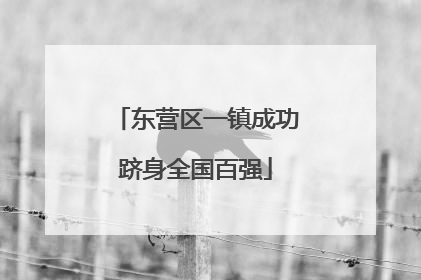 东营区一镇成功跻身全国百强