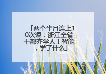 两个半月连上10次课：浙江全省干部齐学人工智能，学了什么
