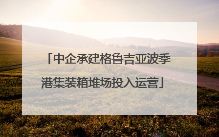 中企承建格鲁吉亚波季港集装箱堆场投入运营