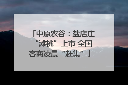 中原农谷：盐店庄“滩桃”上市 全国客商凌晨“赶集”