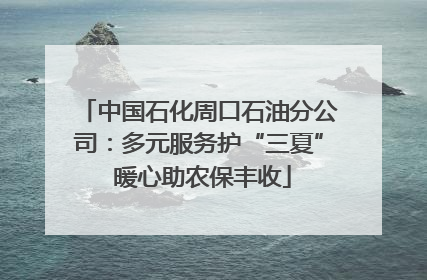 中国石化周口石油分公司：多元服务护“三夏” 暖心助农保丰收