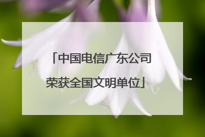 中国电信广东公司荣获全国文明单位