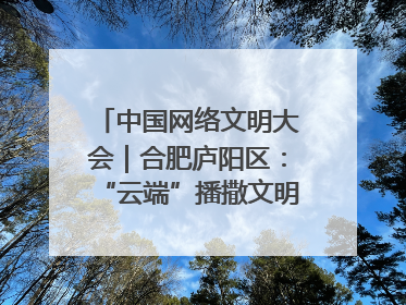 中国网络文明大会｜合肥庐阳区：“云端”播撒文明种子 共建清朗网络空间