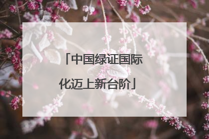 中国绿证国际化迈上新台阶