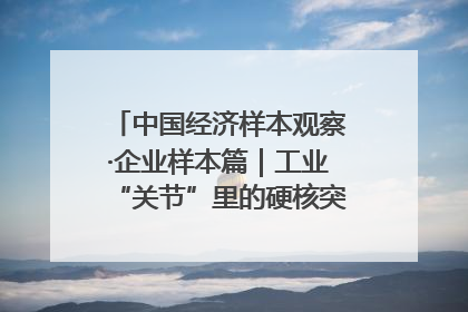 中国经济样本观察·企业样本篇｜工业“关节”里的硬核突围——老企业洛轴创新蝶变启示录