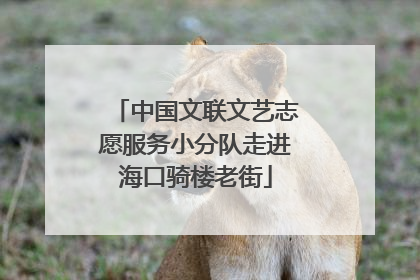 中国文联文艺志愿服务小分队走进海口骑楼老街