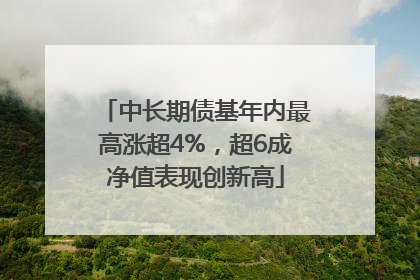 中长期债基年内最高涨超4%，超6成净值表现创新高