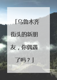 乌鲁木齐街头的新朋友，你偶遇了吗？
