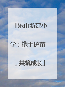 乐山新建小学：携手护苗，共筑成长
