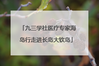 九三学社医疗专家海岛行走进长岛大钦岛