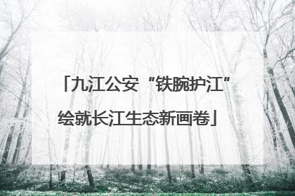 九江公安“铁腕护江”绘就长江生态新画卷