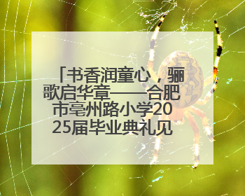 书香润童心，骊歌启华章——合肥市亳州路小学2025届毕业典礼见证成长时刻