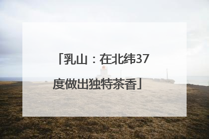 乳山：在北纬37度做出独特茶香