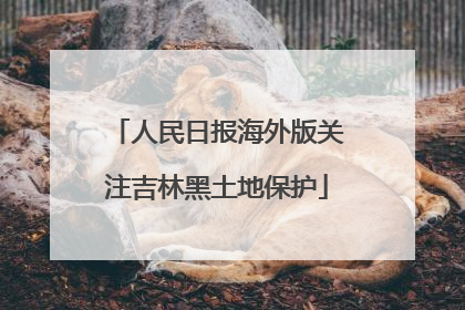 人民日报海外版关注吉林黑土地保护