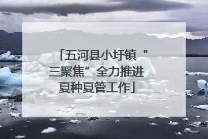 五河县小圩镇“三聚焦”全力推进夏种夏管工作