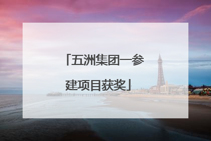 五洲集团一参建项目获奖