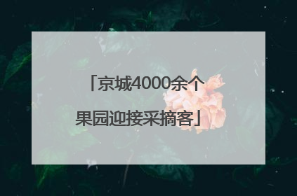 京城4000余个果园迎接采摘客
