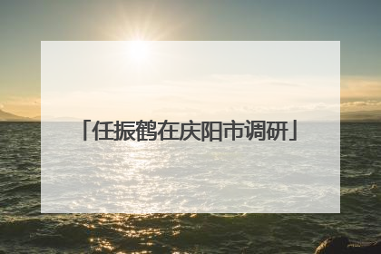 任振鹤在庆阳市调研