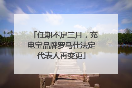 任期不足三月，充电宝品牌罗马仕法定代表人再变更