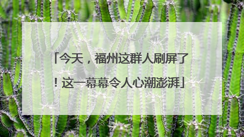 今天，福州这群人刷屏了！这一幕幕令人心潮澎湃