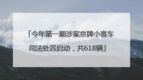 今年第一期涉案京牌小客车司法处置启动，共618辆