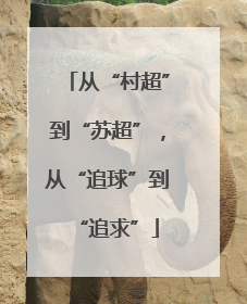 从“村超”到“苏超”，从“追球”到“追求”