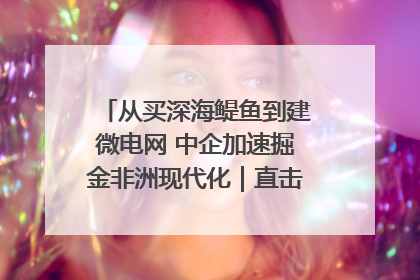 从买深海鳀鱼到建微电网 中企加速掘金非洲现代化｜直击中非经贸博览会