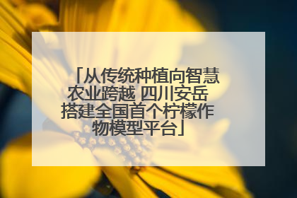 从传统种植向智慧农业跨越 四川安岳搭建全国首个柠檬作物模型平台