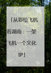 从彩绘飞机看湖南：一架飞机一个文化IP
